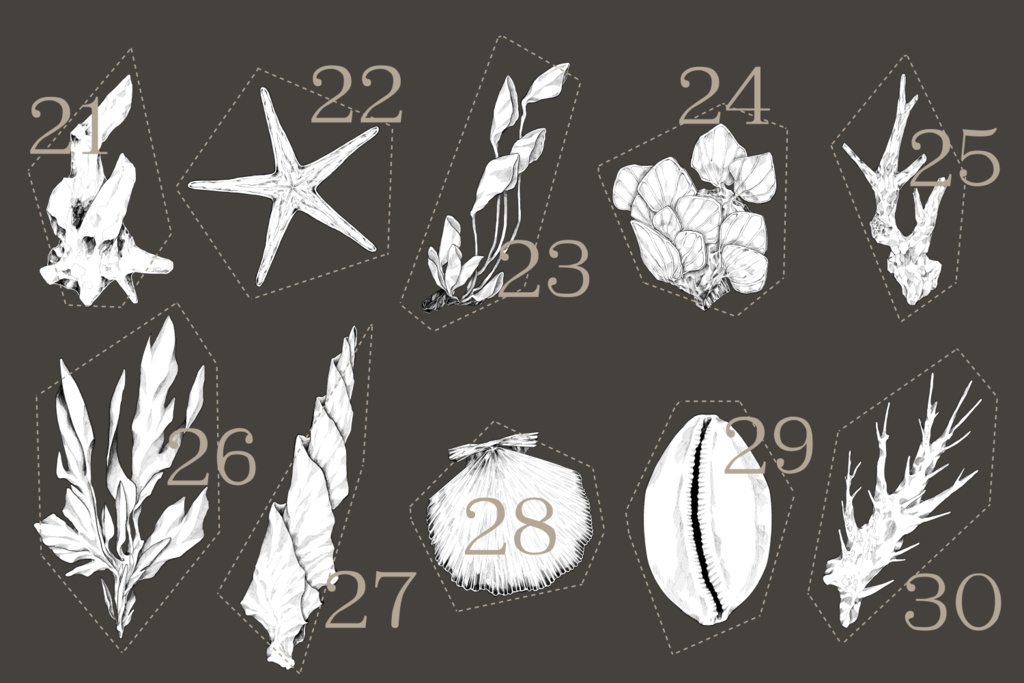 海にまつわる素材集