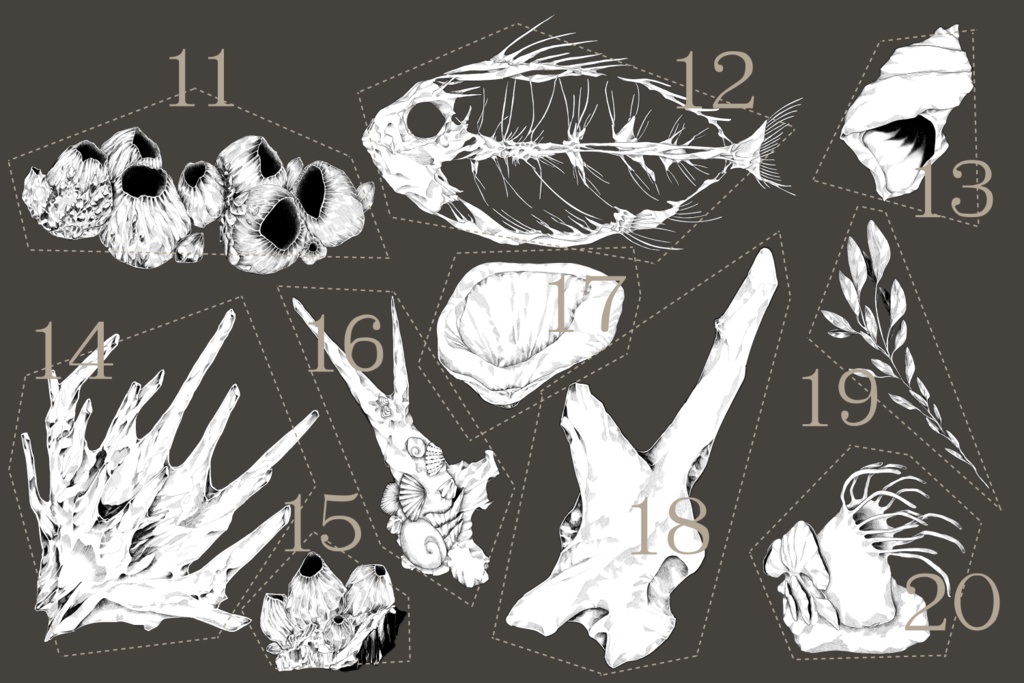 海にまつわる素材集