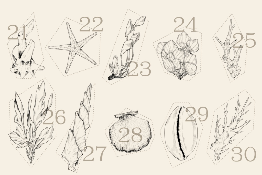 海にまつわる素材集