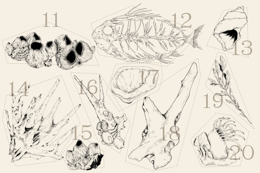 海にまつわる素材集