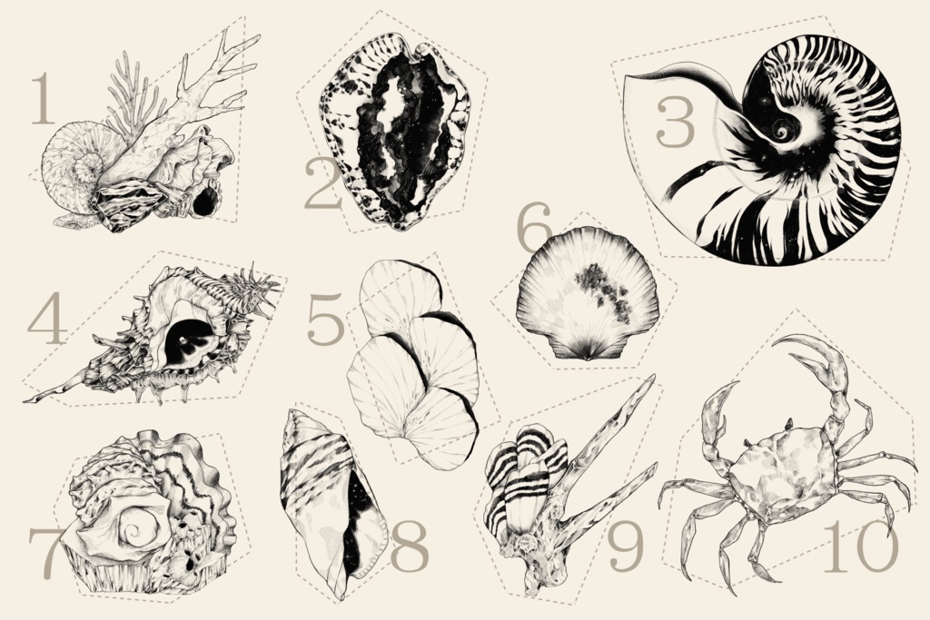 海にまつわる素材集