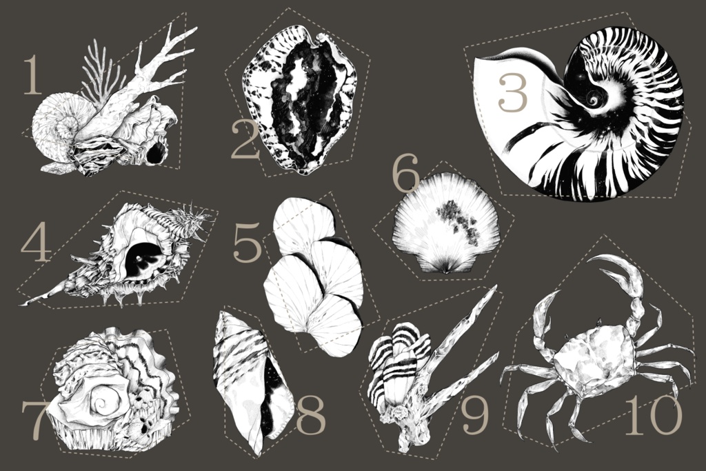 海にまつわる素材集