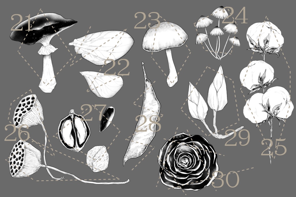 森にまつわる素材集