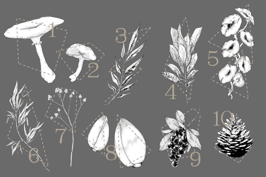 森にまつわる素材集