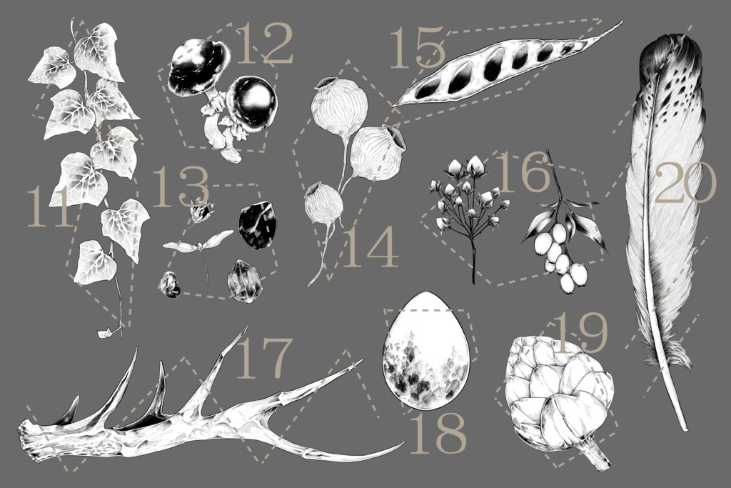 森にまつわる素材集