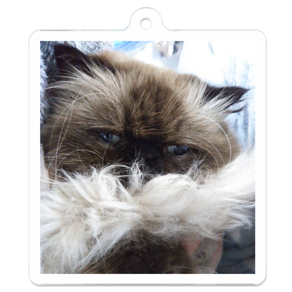 銀ちゃんアクキー1