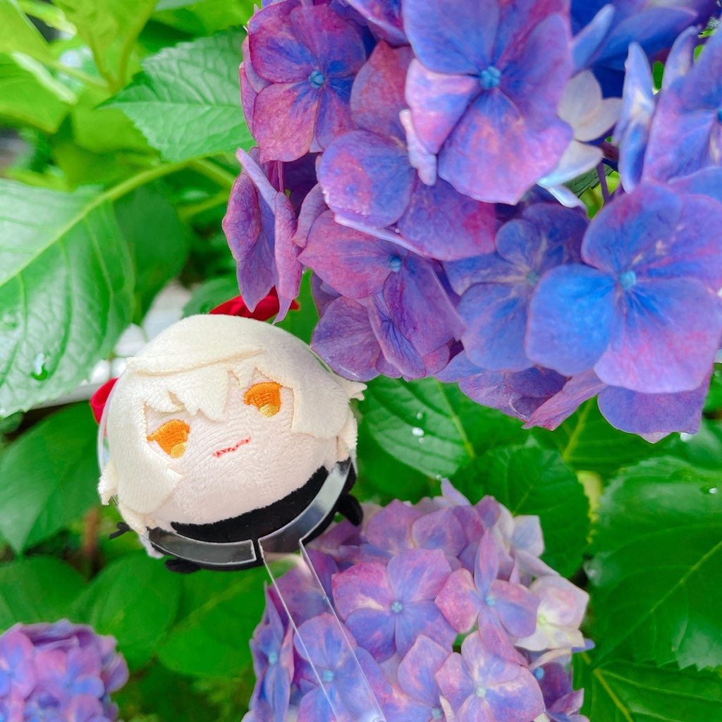 Sãµã€ãºðžãã¡ãã¡ãŠ ãªãããããŸã©ðžïŒã¬ãæ®ãæ£ïŒä¿µååãïŒ