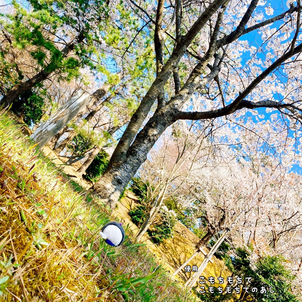 ミニサイズ こもちもちて・もちとこもちのなかよしこまど