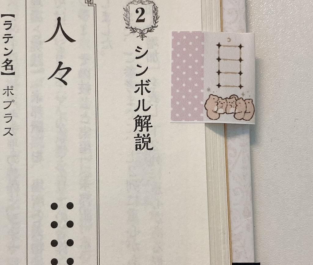 【データ販売】ぽちゃリスのジオマンシーインデックスシール | お守りタロット | こわくてかわいいウィジャボード