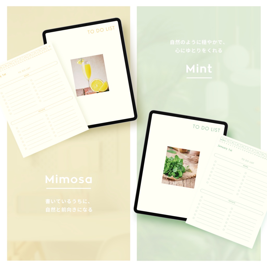 ToDoリスト┊︎6色展開┊︎やることリスト┊︎デジタルプランナー┊︎リンク付き