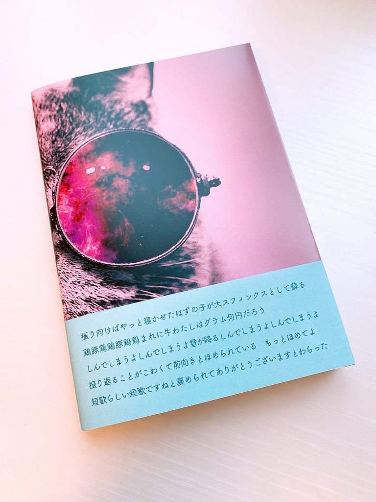 御糸さち歌集『ねこのね、』