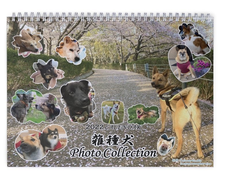 雑種犬カレンダー2022