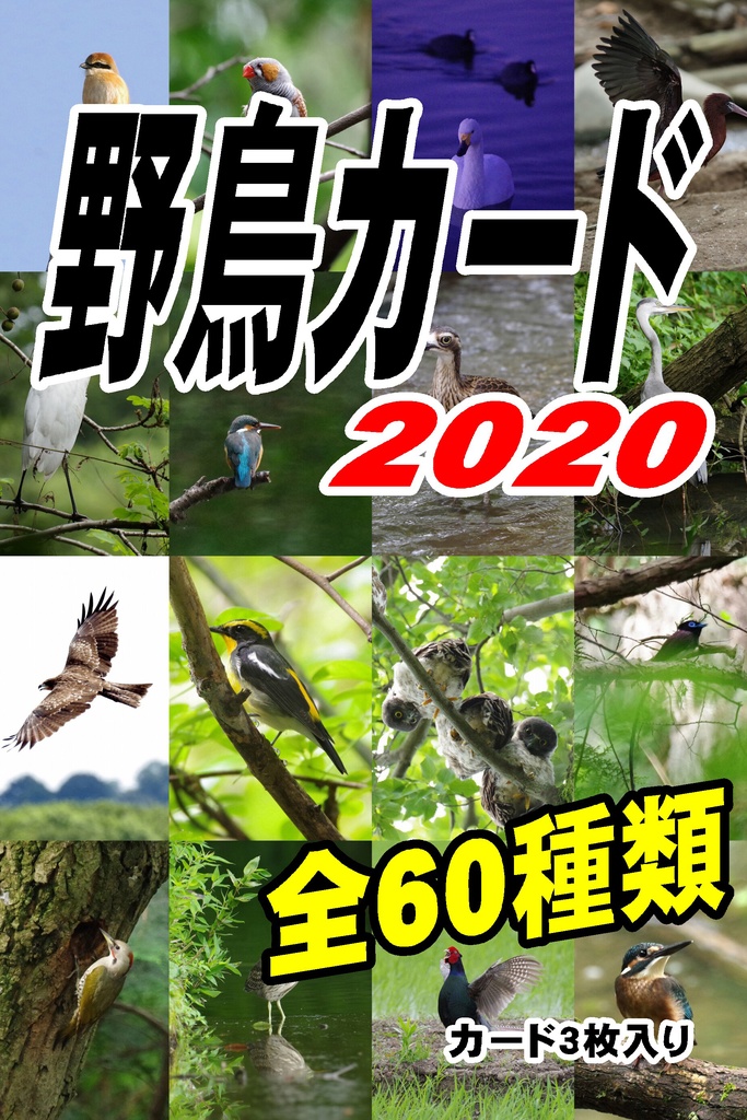 野鳥カード2020（3枚入り）