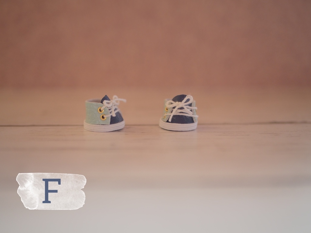 【参考】マグネットシューズ