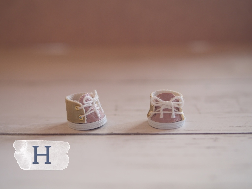 【参考】マグネットシューズ