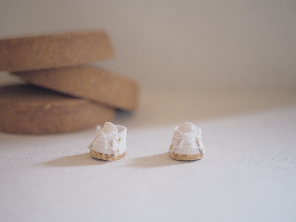 【BoM19】マグネットシューズ