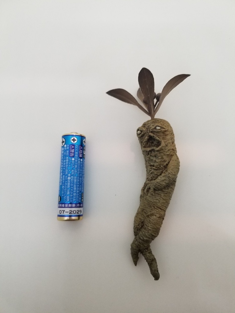 【オカルト】マンドレイク【塗装済み完成品】