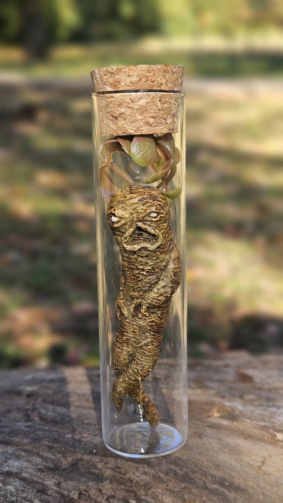 【オカルト】マンドレイク【塗装済み完成品】