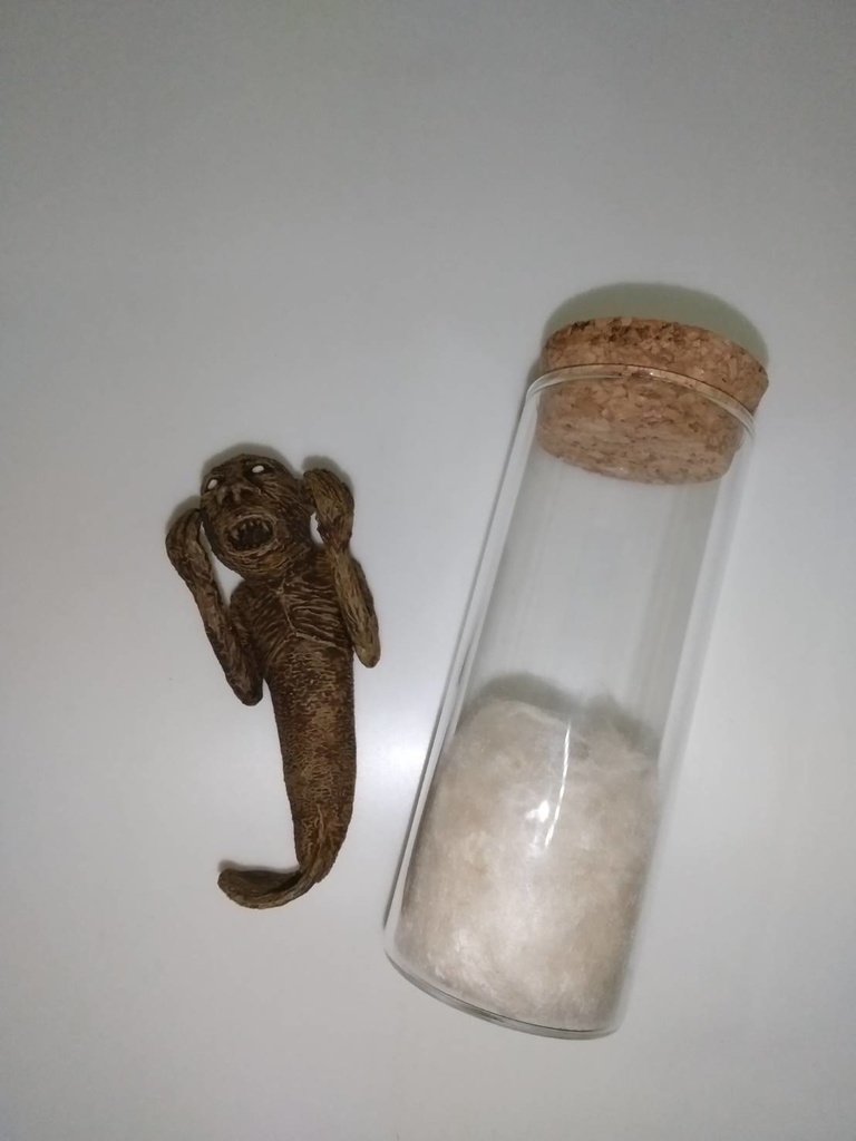 【オカルト】人魚干物【塗装済み完成品】