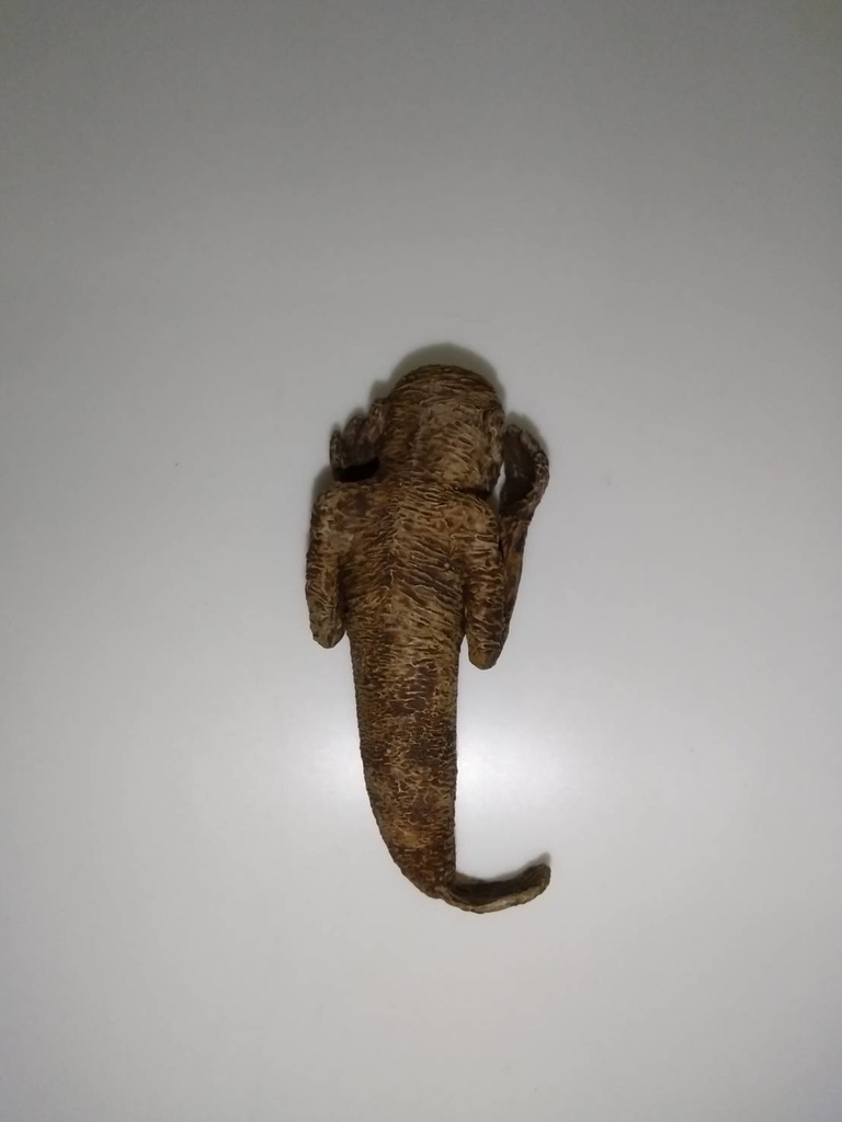 【オカルト】人魚干物【塗装済み完成品】