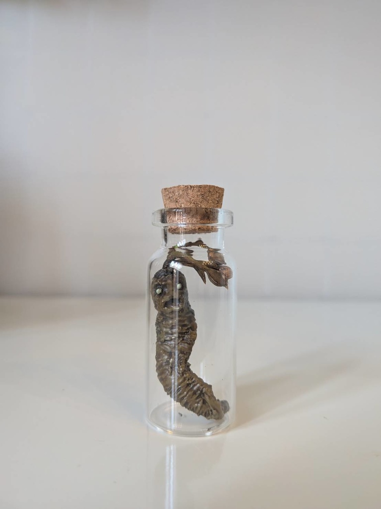 【オカルト】マンドラゴラ瓶詰めミニ【塗装済み完成品】