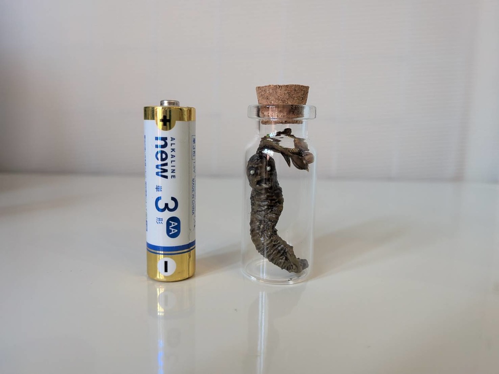 【オカルト】マンドラゴラ瓶詰めミニ【塗装済み完成品】