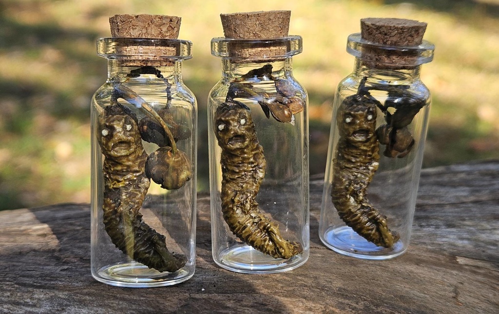 【オカルト】マンドラゴラ瓶詰めミニ【塗装済み完成品】