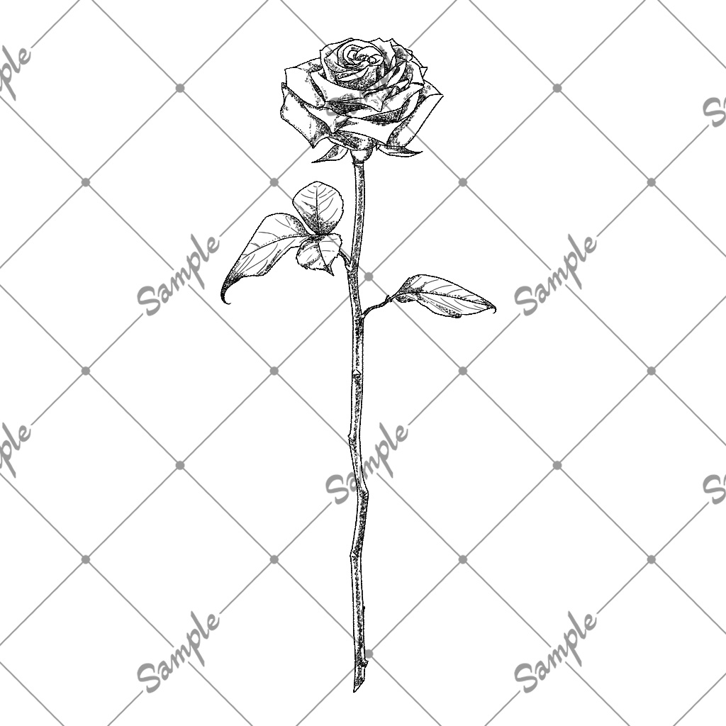 【無料!!】SNAKE VENOM Tattoo