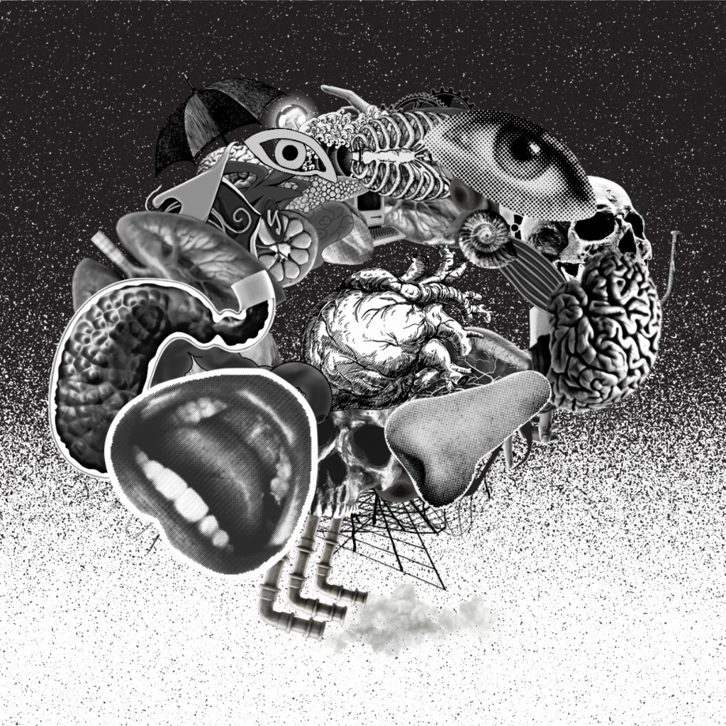 臓器コンピ『Donors』DLカード