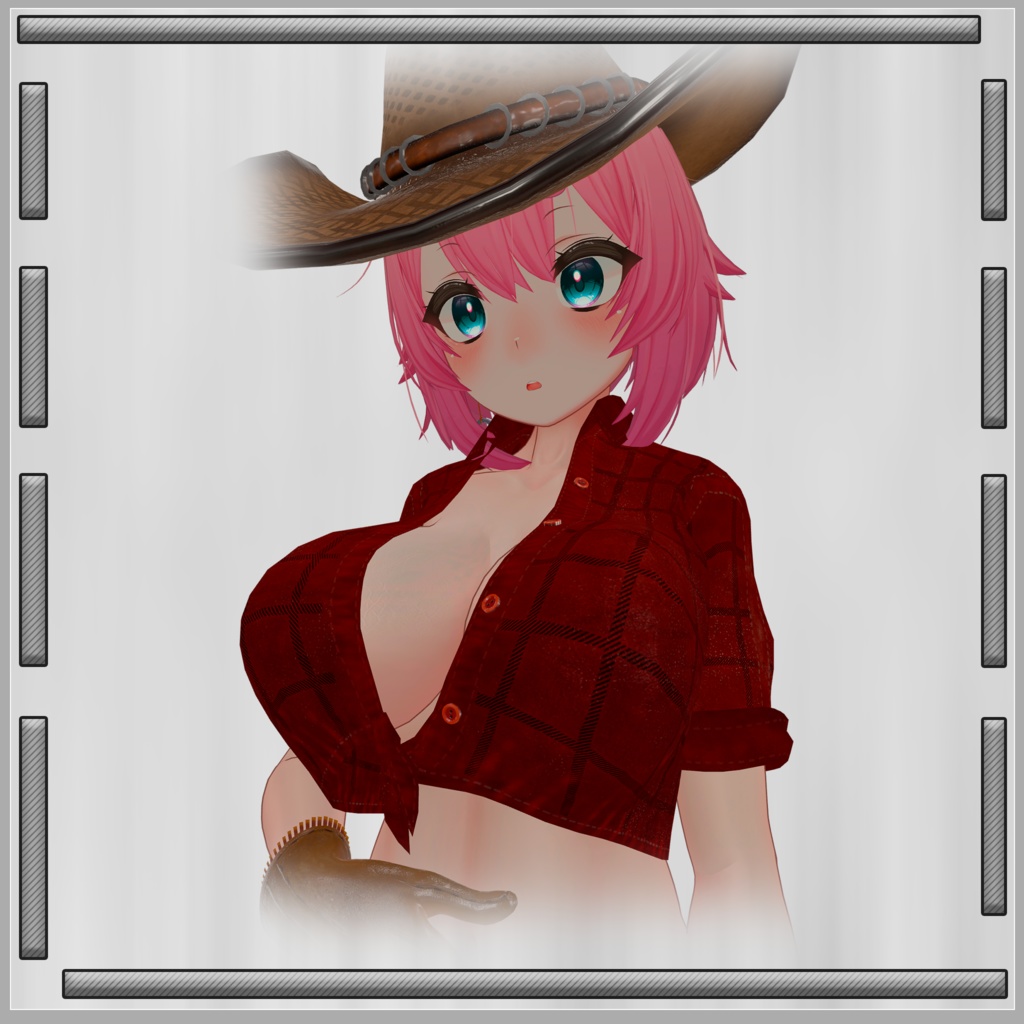 Cowboy Outfit for Apollo