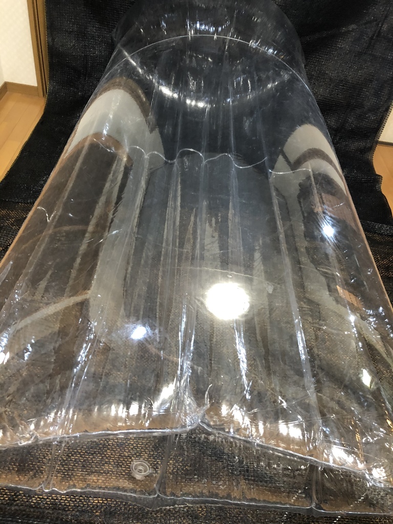 【11月再販】巨大ワームエアーバッグ クリアカラー