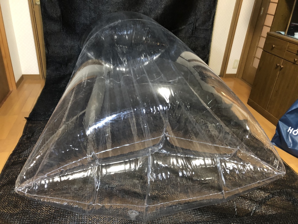 【11月再販】巨大ワームエアーバッグ クリアカラー