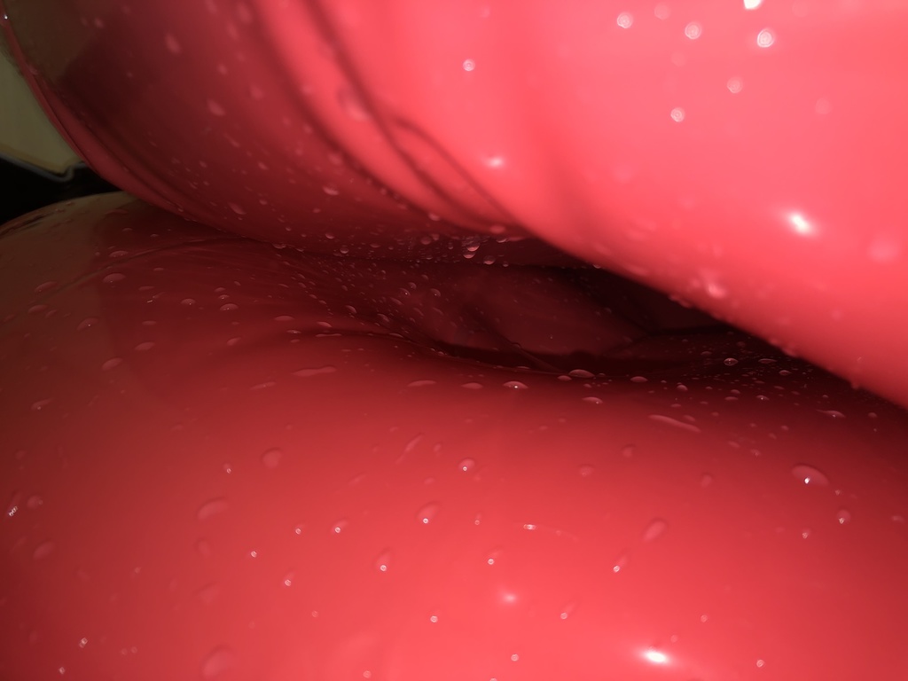 【シャチカラー】3色スリープサック