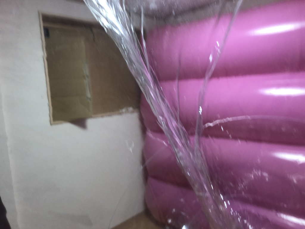 巨大ワーム型エアーバッグ クリアカラー