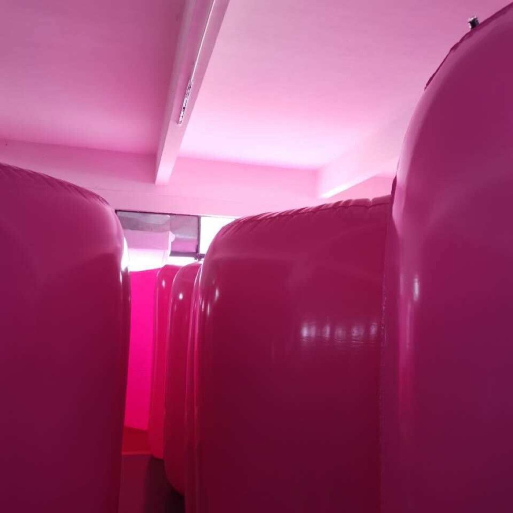 【第二期再販】 巨大ワーム型エアーバッグ ピンク色