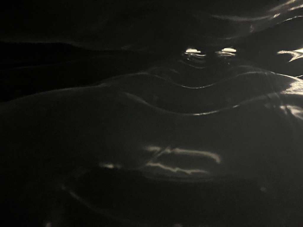 【ブラック】人食いボンデージ・エアソファー