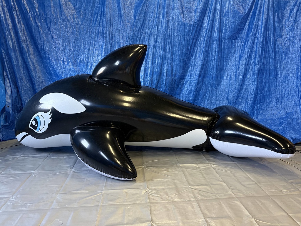 【300cm】 艶ありダブルレイヤードシャチフロート 