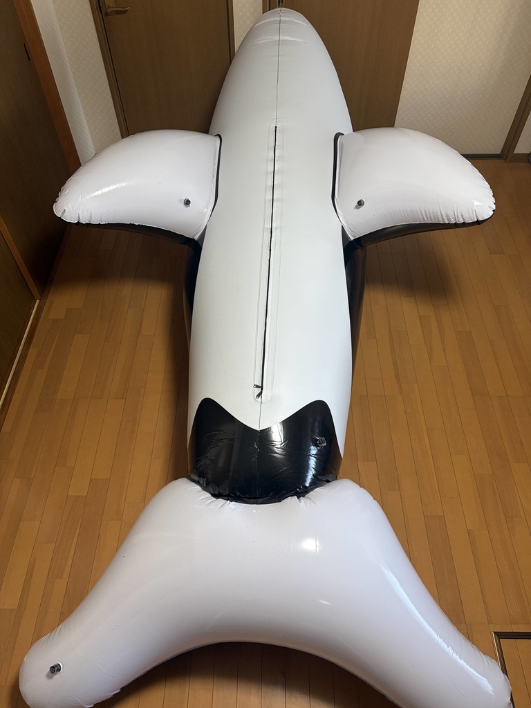 【300cm】 艶ありダブルレイヤードシャチフロート