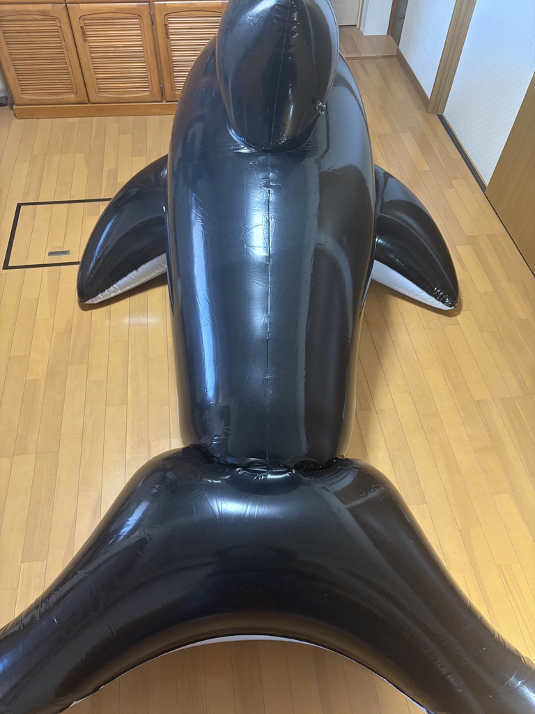 【300cm】 艶ありダブルレイヤードシャチフロート