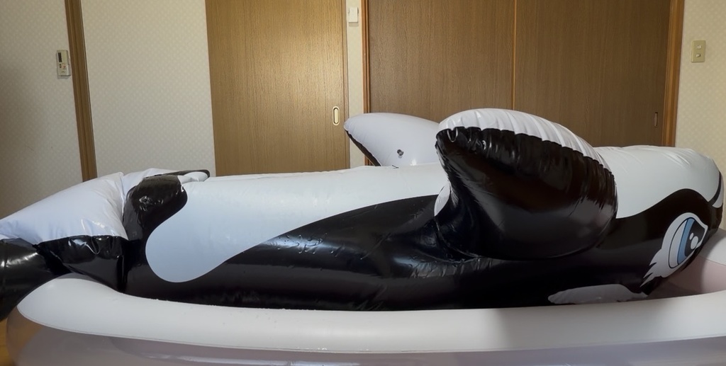 【300cm】 艶ありダブルレイヤードシャチフロート