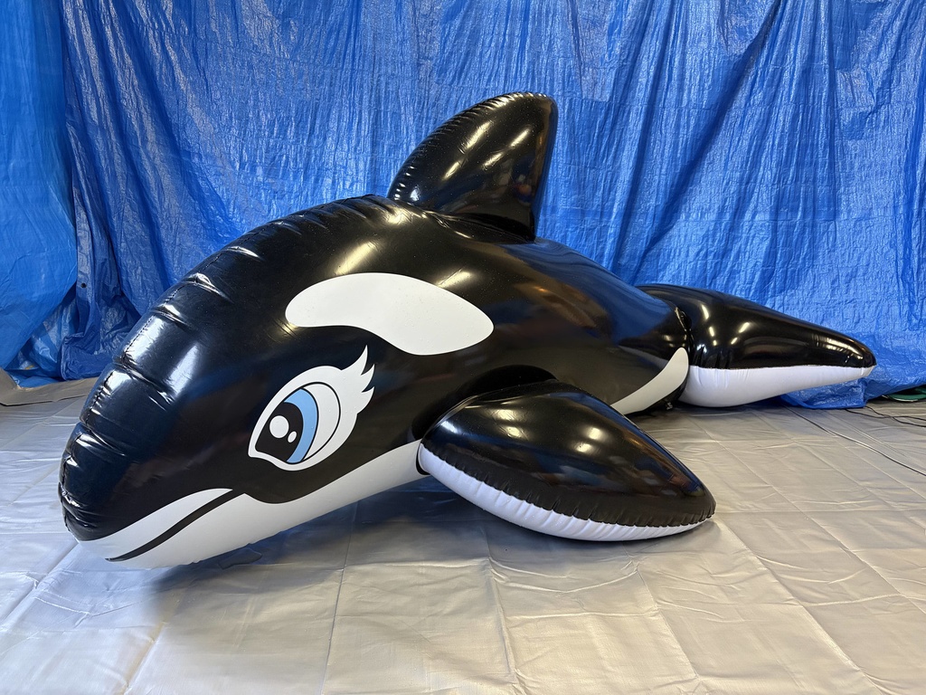 【300cm】 艶ありダブルレイヤードシャチフロート