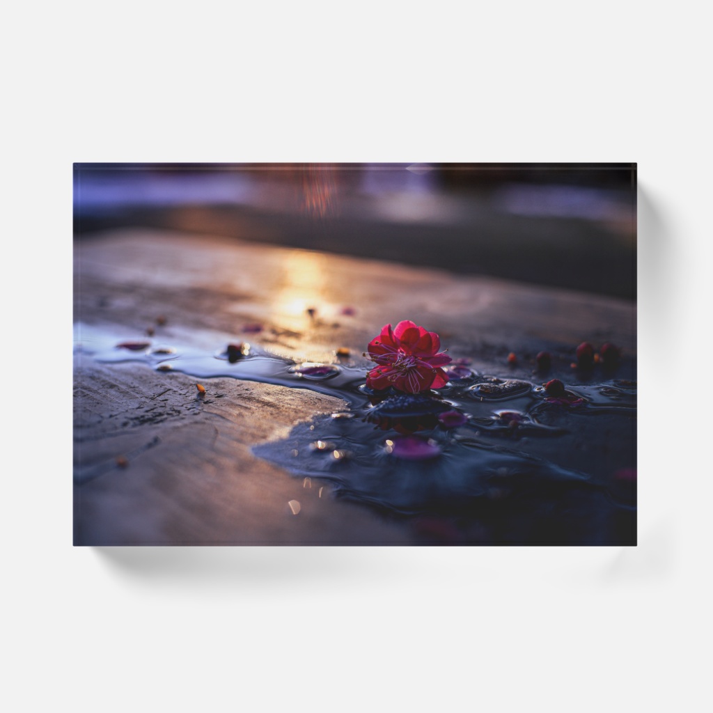 Rey アクリルブロック