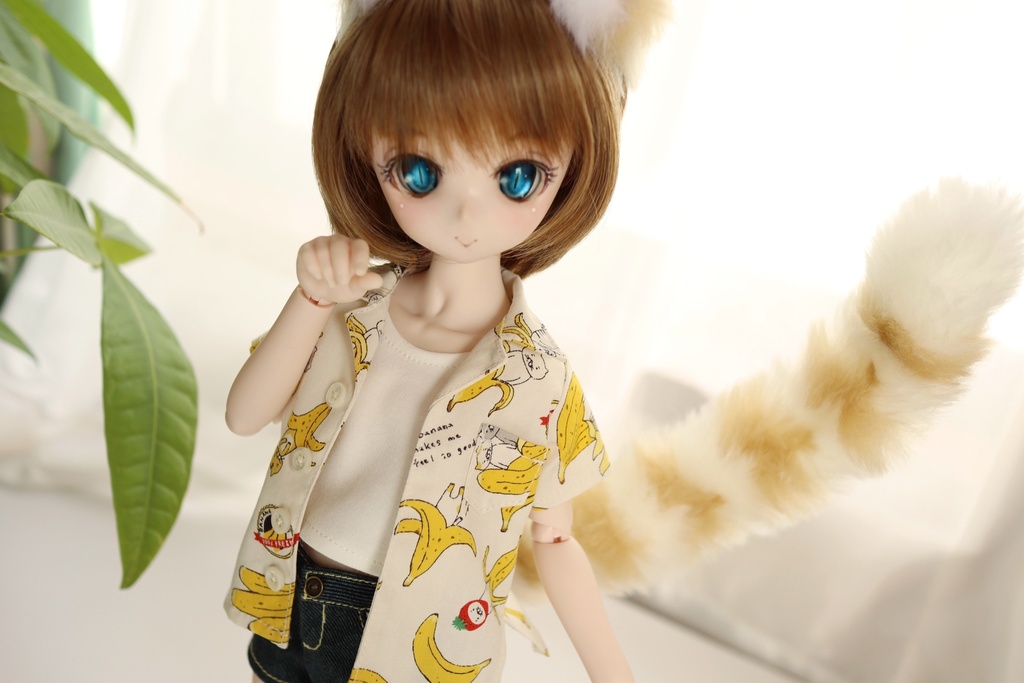 MDD バナにゃアロハ