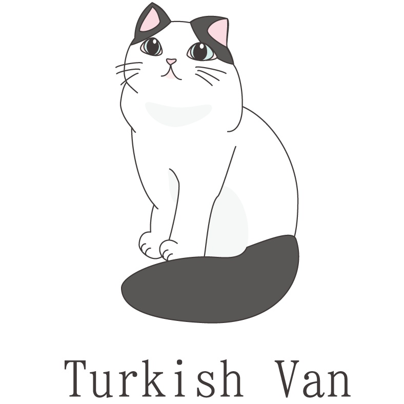 ● ターキッシュバン(Black & White)ジップパーカー(白色)