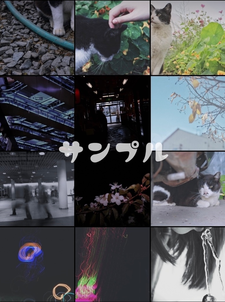 写真(1)