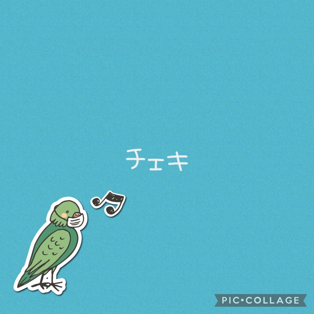 ピン チェキ