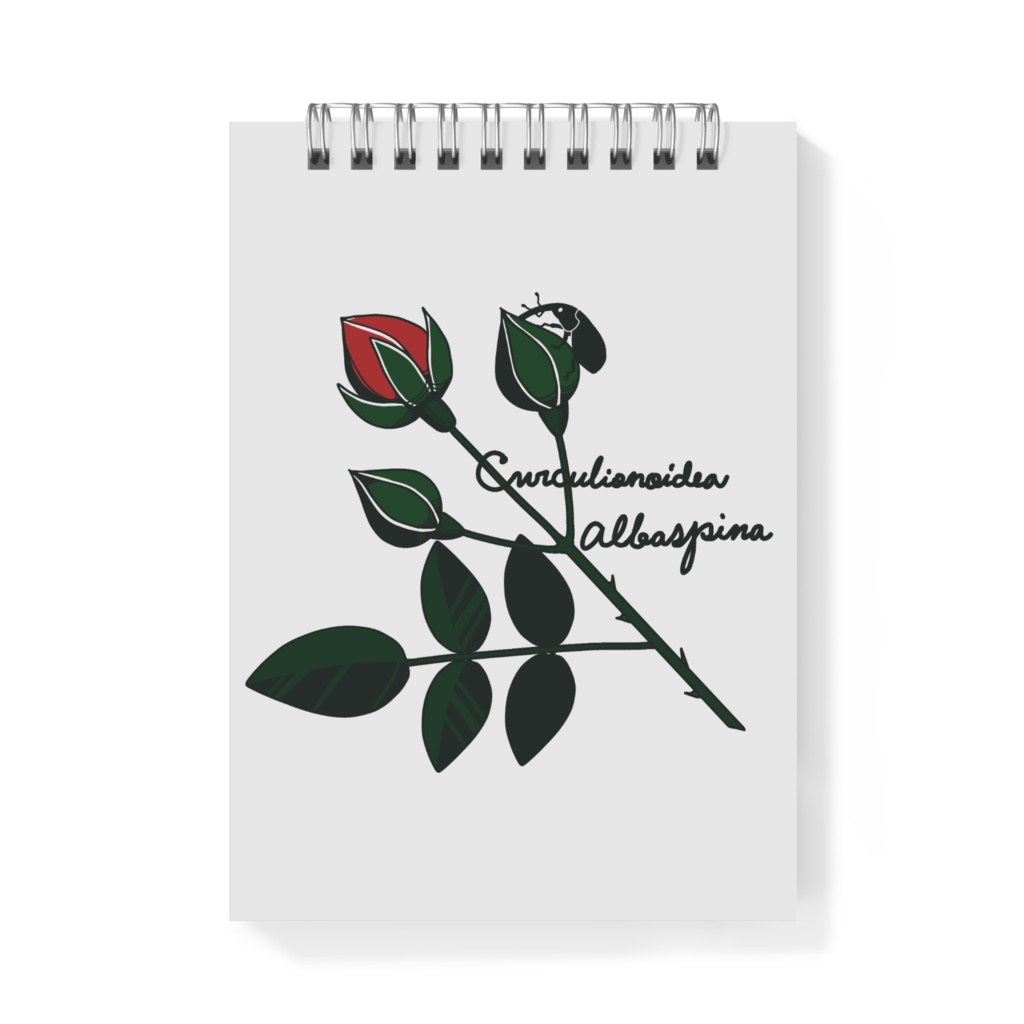 薔薇蕾のゾウムシ