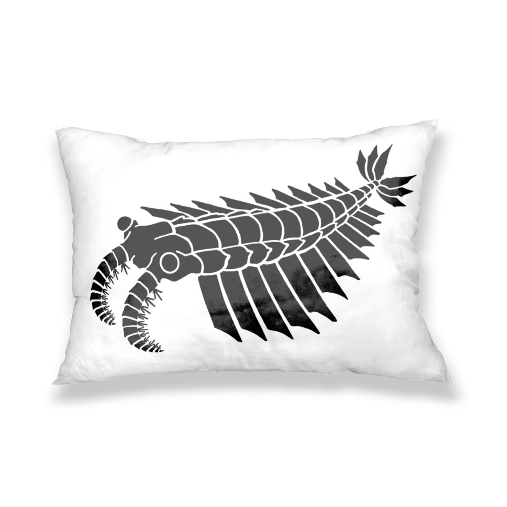 アノマロカリス