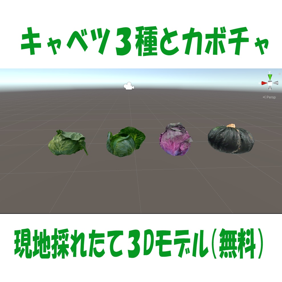 キャベツ3種とカボチャ【3D】