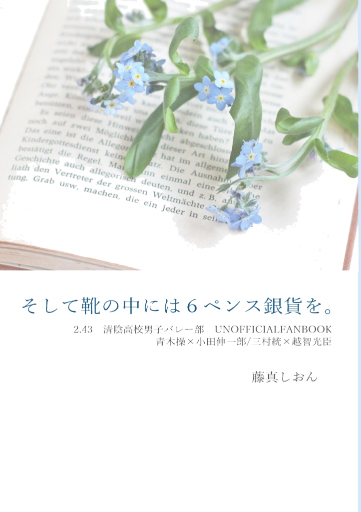 そして靴の中には6ペンス銀貨を。(※カバーあり版)